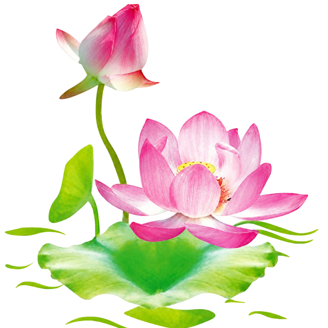 My Sen Lotus